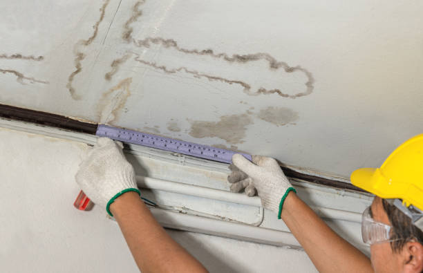 Reliable Sewage Cleanup contractor in Ansonia, CT by Water Damage Irwin